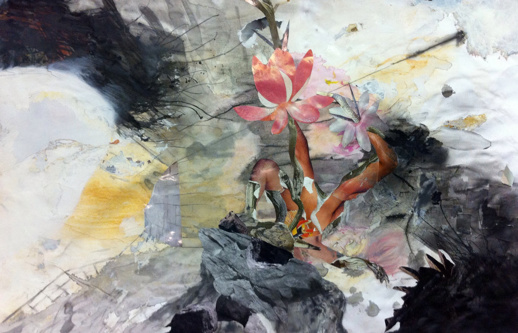 denver artists